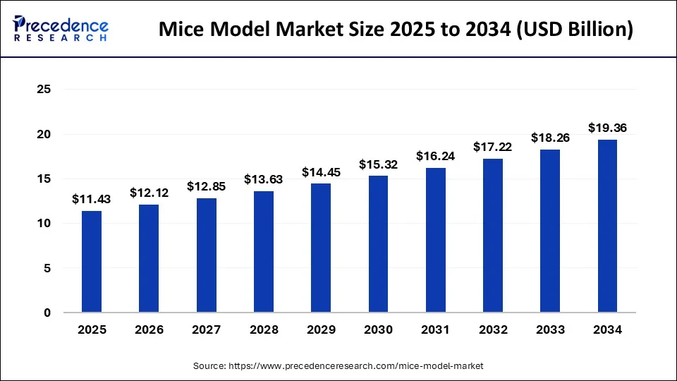 United States Mouse Market Size, Share & Report-2034